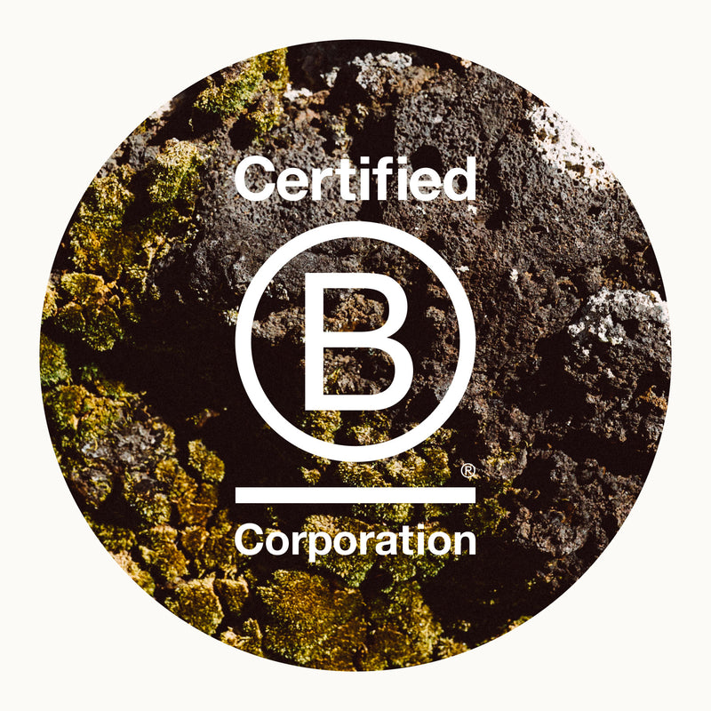 Certified B Corporation 0658d262 5244 40ae ab81 78220bba81a3